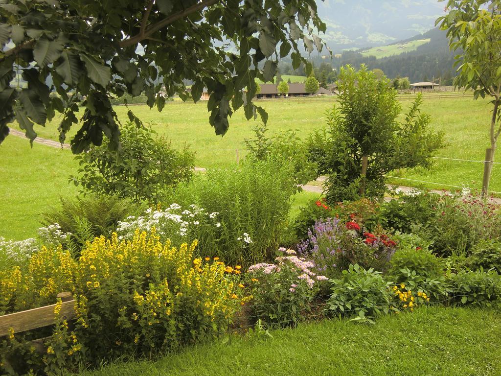 Weberhof Hopfgarten Hopfgarten im Brixental Ngoại thất bức ảnh
